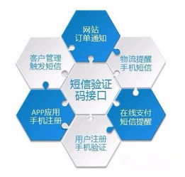 為什么需要這么多的驗(yàn)證碼？——數(shù)字文化創(chuàng)意內(nèi)容應(yīng)用服務(wù)的視角